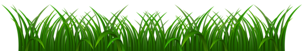This png image - Grass Ground Green PNG Clip Art Image, is available for free download