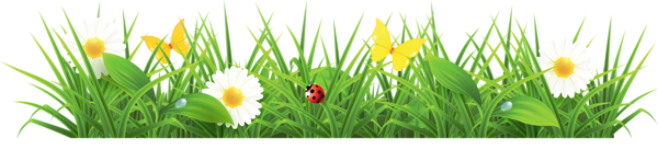 This png image - Grass Ground with Flowers Clipart Picture, is available for free download