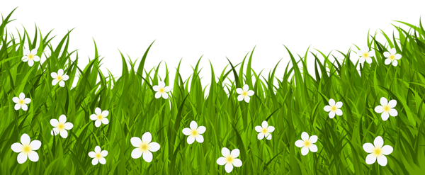 This png image - Grass Ground with Flowers PNG Clip Art Image, is available for free download