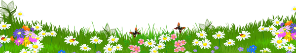This png image - Grass Ground with Flowers PNG Clipart, is available for free download