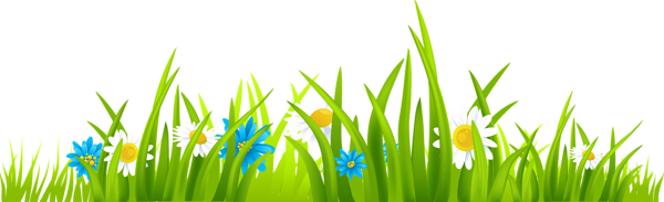 This png image - Grass Ground with Flowers PNG Clipart Picture, is available for free download