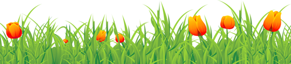 This png image - Grass Ground with Tulips PNG Clipart, is available for free download