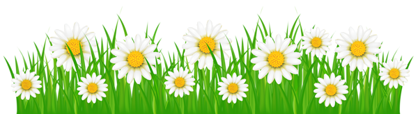 Grass Ground with White Flowers PNG Clip Art Image ...