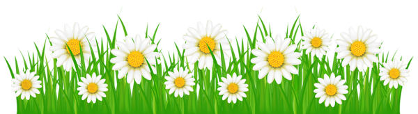 This png image - Grass Ground with White Flowers PNG Clip Art Image, is available for free download
