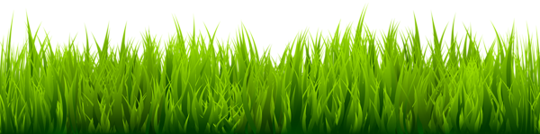 This png image - Grass Large Transparent Image, is available for free download