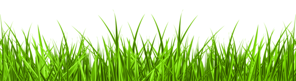 This png image - Grass PNG Clip Art Image, is available for free download