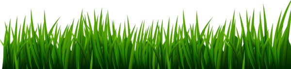 Grass PNG Clip Art Image | Gallery Yopriceville - High-Quality Free ...