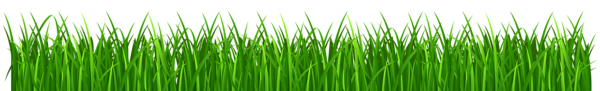This png image - Grass PNG Clip Art Transparent Image, is available for free download