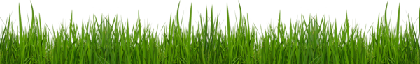 This png image - Grass PNG Picture Clipat, is available for free download