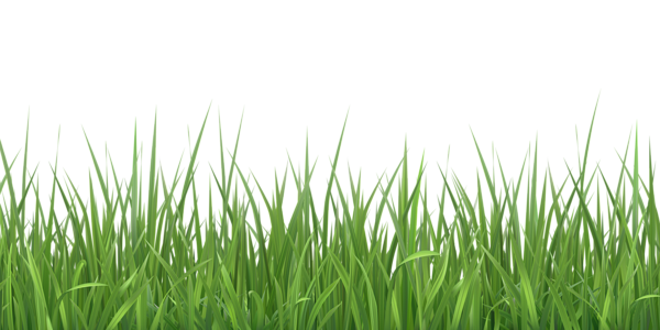 Grass PNG Transparent Clipart | Gallery Yopriceville - High-Quality ...