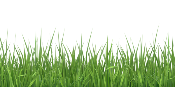 This png image - Grass PNG Transparent Clipart, is available for free download