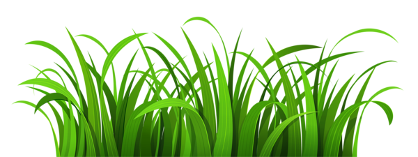 This png image - Grass Patch PNG Clipart, is available for free download