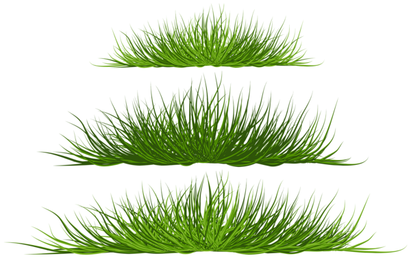 This png image - Grass Patches PNG Transparent Clipart, is available for free download