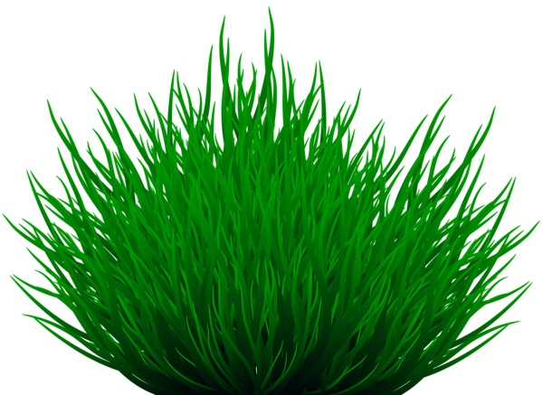 This png image - Grass Path PNG Clip Art Image, is available for free download