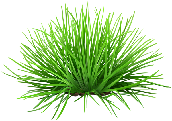 This png image - Grass Path Transparent PNG Clip Art Image, is available for free download