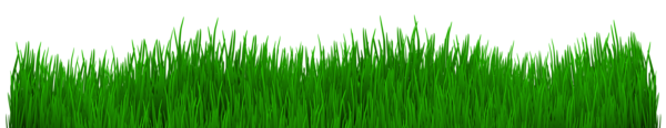 Grass Transparent Clip Art Image | Gallery Yopriceville - High-Quality ...