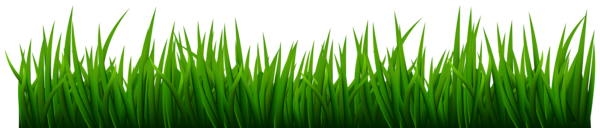 Grass Transparent Image | Gallery Yopriceville - High-Quality Free ...