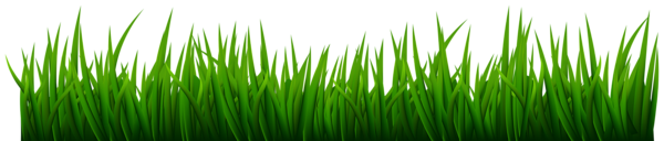 This png image - Grass Transparent Image, is available for free download