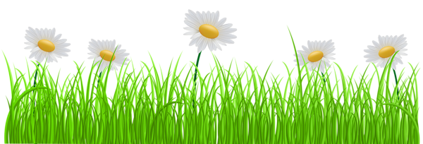 This png image - Grass Transparent PNG Clip Art Image, is available for free download