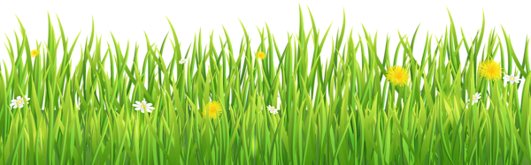 This png image - Grass Transparent PNG Image, is available for free download