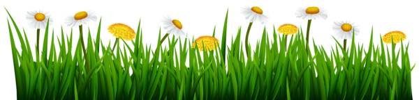 This png image - Grass and Flowers Transparent Image, is available for free download