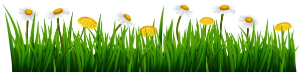 Grass and Flowers Transparent Image | Gallery Yopriceville - High