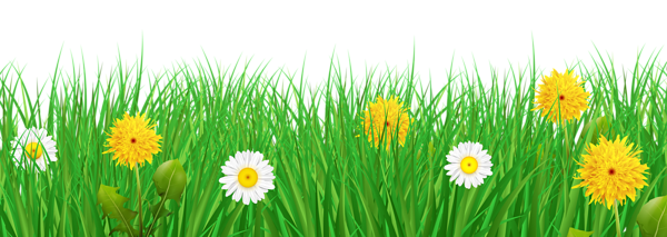 This png image - Grass and Flowers Transparent PNG Clip Art Image, is available for free download