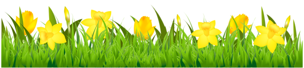 This png image - Grass with Daffodils PNG Clipart, is available for free download