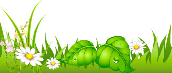 This png image - Grass with Daisies Ground PNG Picture, is available for free download