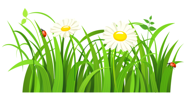 This png image - Grass with Daisies and Lady bugs PNG Clipart, is available for free download