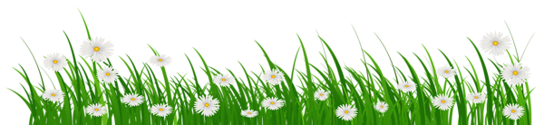 This png image - Grass with Flowers PNG Clip Art Image, is available for free download