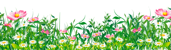 This png image - Grass with Flowers PNG Clipart, is available for free download