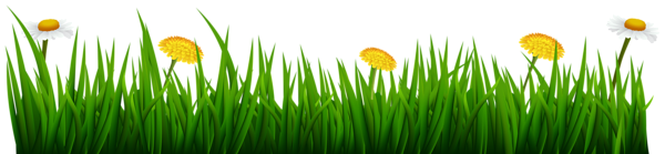 This png image - Grass with Flowers Transparent Image, is available for free download