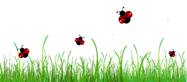 This png image - Grass with Ladybugs PNG Clipart Picture, is available for free download