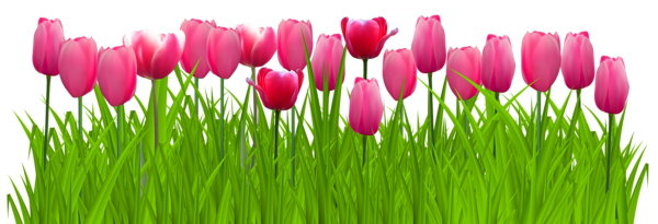 This png image - Grass with Pink Tulips PNG Clip Art Image, is available for free download