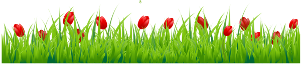 This png image - Grass with Red Tulips PNG Clipart, is available for free download