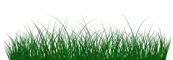 This png image - Green Grass PNG Clip Art Image, is available for free download