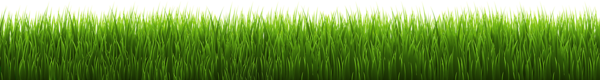 This png image - Green Grass Transparent PNG Image, is available for free download