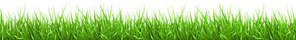 This png image - Short Grass PNG Transparent Clipart, is available for free download