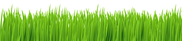 This png image - Spring Grass Ground Transparent Clip Art Image, is available for free download