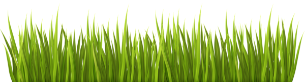 This png image - Spring Grass PNG Transparent Clip Art Image, is available for free download