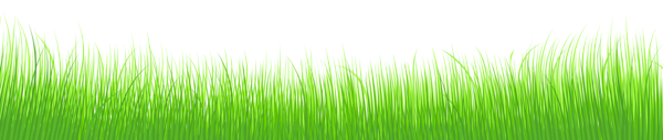 Spring Grass Transparent PNG Clip Art Image | Gallery ...