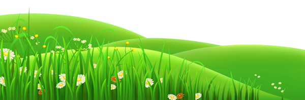 This png image - Transparent Flowers and Grass PNG Clipart, is available for free download