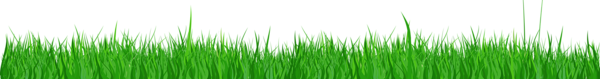 This png image - Transparent Grass PNG Clipart, is available for free download