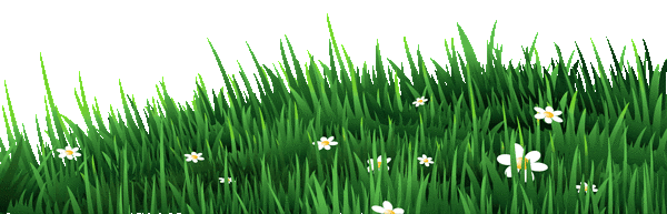 This gif image - Transparent Grass with White Daisies PNG Clipart, is available for free download