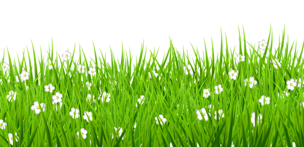 This png image - Transparent Grass with White Flowers Clipart, is available for free download