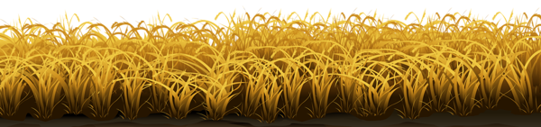 This png image - Wheat Ground Transparent PNG Clip Art Image, is available for free download