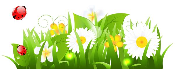 This png image - White Flowers Grass and Ladybugs PNG Clipart Picture, is available for free download