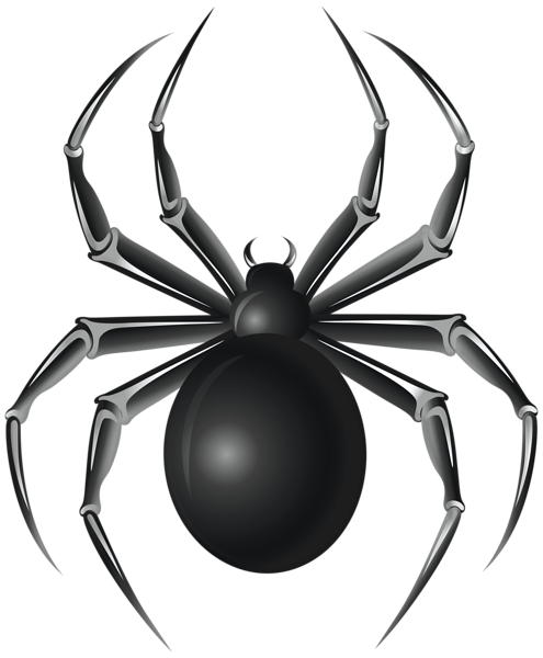 This png image - Black Spider PNG Transparent Clipart, is available for free download