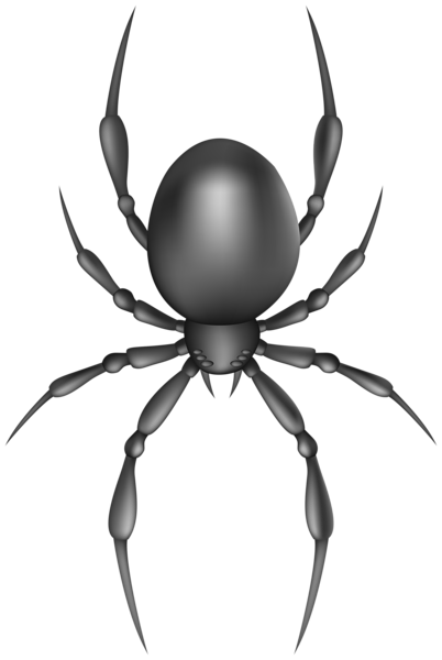 This png image - Black Spider Transparent Image, is available for free download